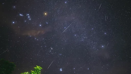 Espetáculo no céu: veja as melhores fotos da chuva de meteoros Perseidas