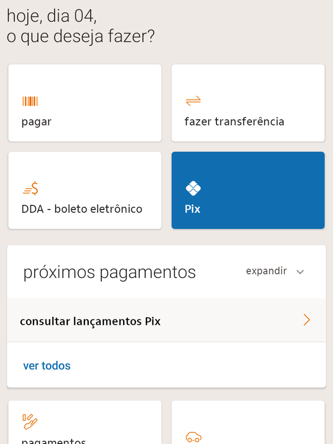 Essa categoria permite que você realize transações no aplicativo - (Captura: Canaltech/Felipe Freitas)