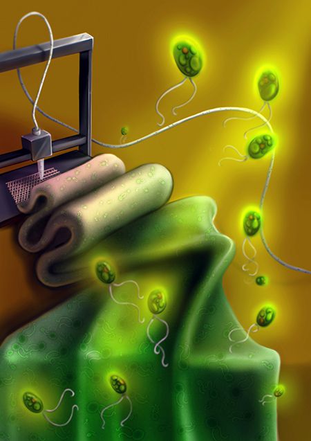 Microalgas vivas funcionam como tinta (Imagem: Reprodução/University of Rochester)
