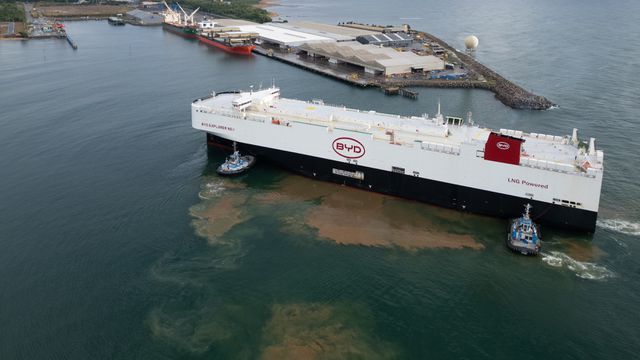 Divulgação/BYD