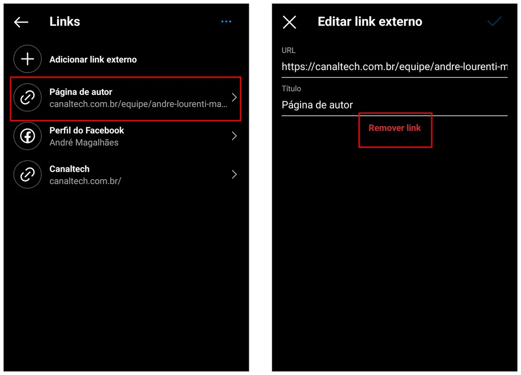 Use a tela de configurações para retirar uma URL do perfil (Imagem: Captura de tela/André Magalhães/Canaltech)
