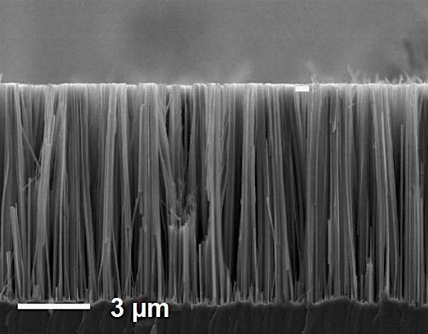 Nanofios de silício como vistos através de um microscópio eletrônico