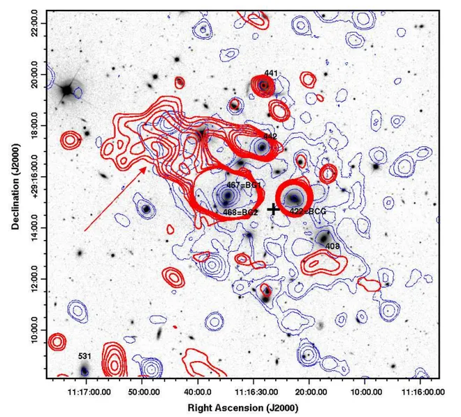Imagem do aglomerado de galáxias Abell 1213 com os níveis de rádio nos contornos vermelhos e de raios-X em azul (Imagem: Reprodução/Boschin et al, 2023)