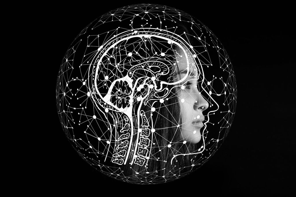 O neurocientista Miguel Nicolelis traz à tona o seu ponto de vista a respeito da inteligência artificial e faz uma comparação com o cérebro humano (Imagem: Gerd Altmann/Pixabay)