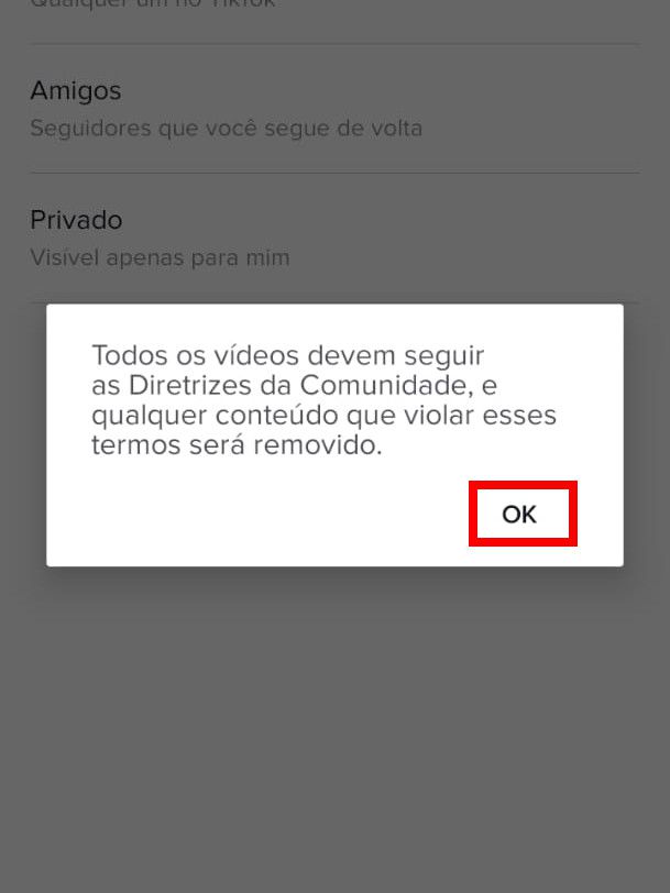 Clique em "OK" na pop-up exibida pra poder prosseguir (Captura de tela: Matheus Bigogno)