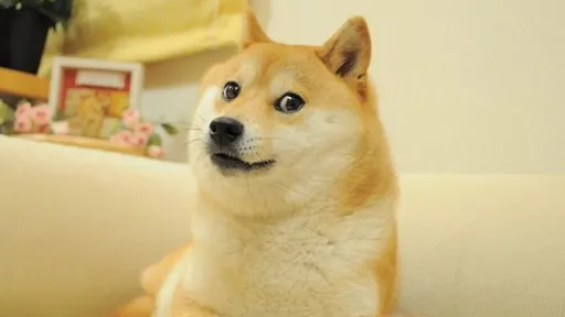 Famoso meme Doge é vendido por US$ 4 milhões e vira o NFT mais caro da história 