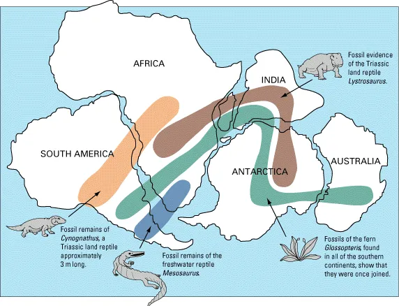 A Placa Sul-Americana surgiu com a fragmentação do supercontinente Gondwana, também impulsionada pela dinâmica do interior terrestre (Imagem: Reprodução/Domínio Público)