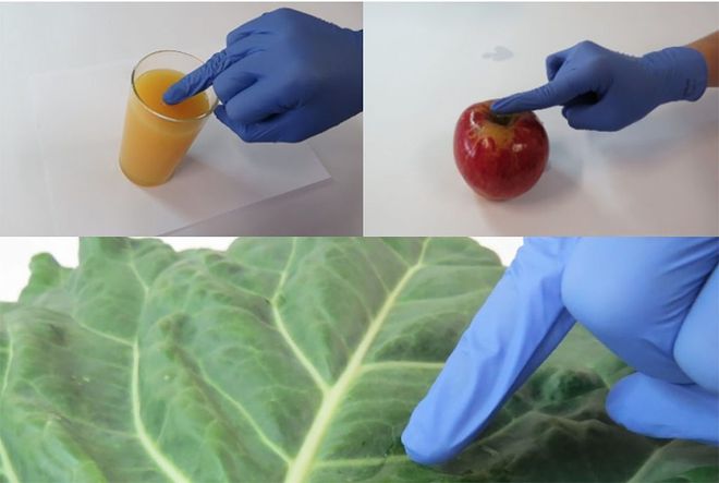 Os sensores nos dedos indicador, médio e anelar detectam pesticidas em presentes em frutas, verduras e líquidos (Imagem: Reprodução/Nathalia Gomes/USP)