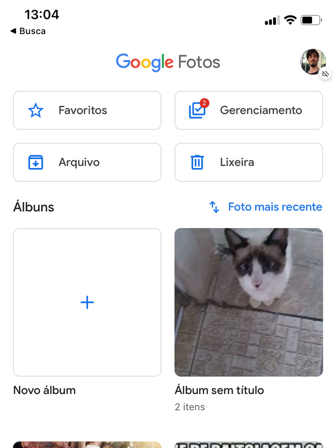 Visualize as fotos que você possui no Google Fotos pelo iPhone - Captura de tela: Thiago Furquim (Canaltech)