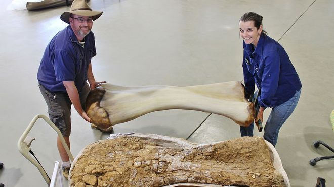 Dinossauro gigante descoberto há 15 anos finalmente ganha nome: Australotitan