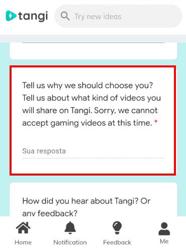 Elabore um texto explicando por que você deve fazer parte da equipe de criadores do Tangi (Captura de tela: Matheus Bigogno)