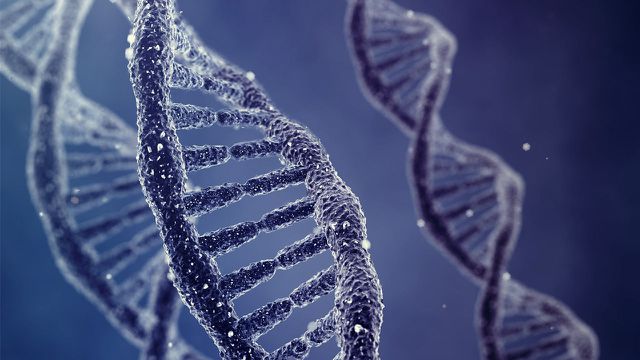 Cientistas desenvolveram nova cadeia de DNA sintética, a “hachimoji”