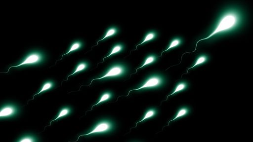 Cientistas cultivam células-tronco de esperma humano pela primeira vez