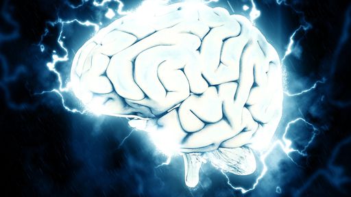 Cientistas conectam cérebro humano a um computador através das veias