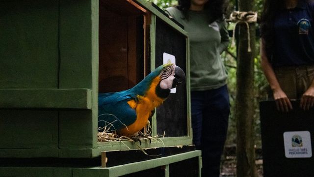 Flavia Zagury/ICMBio