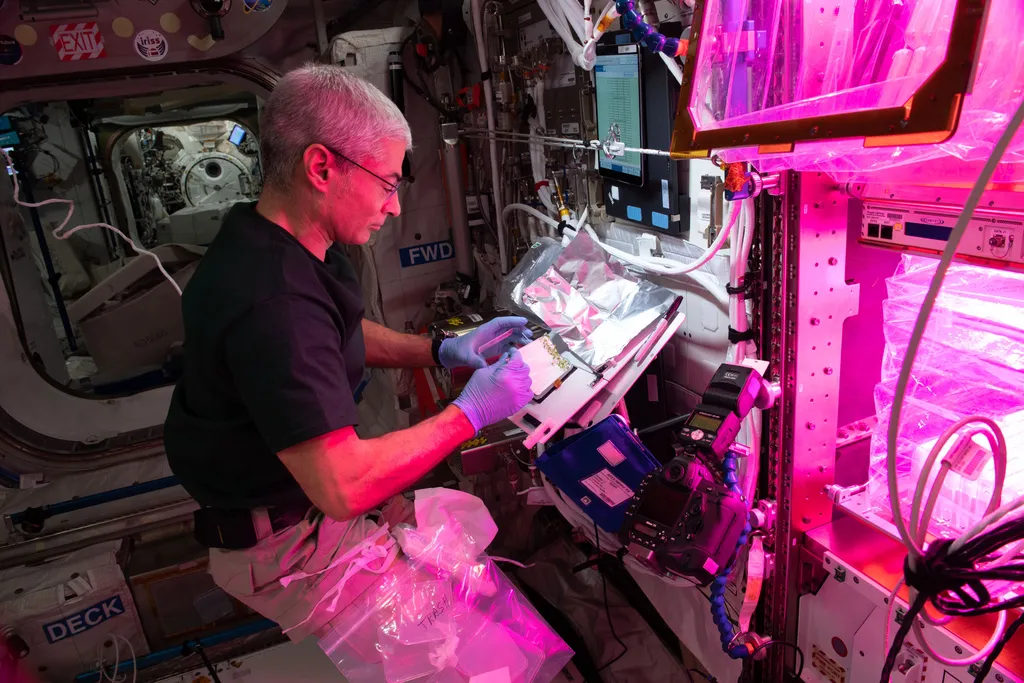 O astronauta Mark Vande Hei chegou à ISS em abril do ano passado como parte da Expedição 66 (Imagem: Reprodução/NASA)
