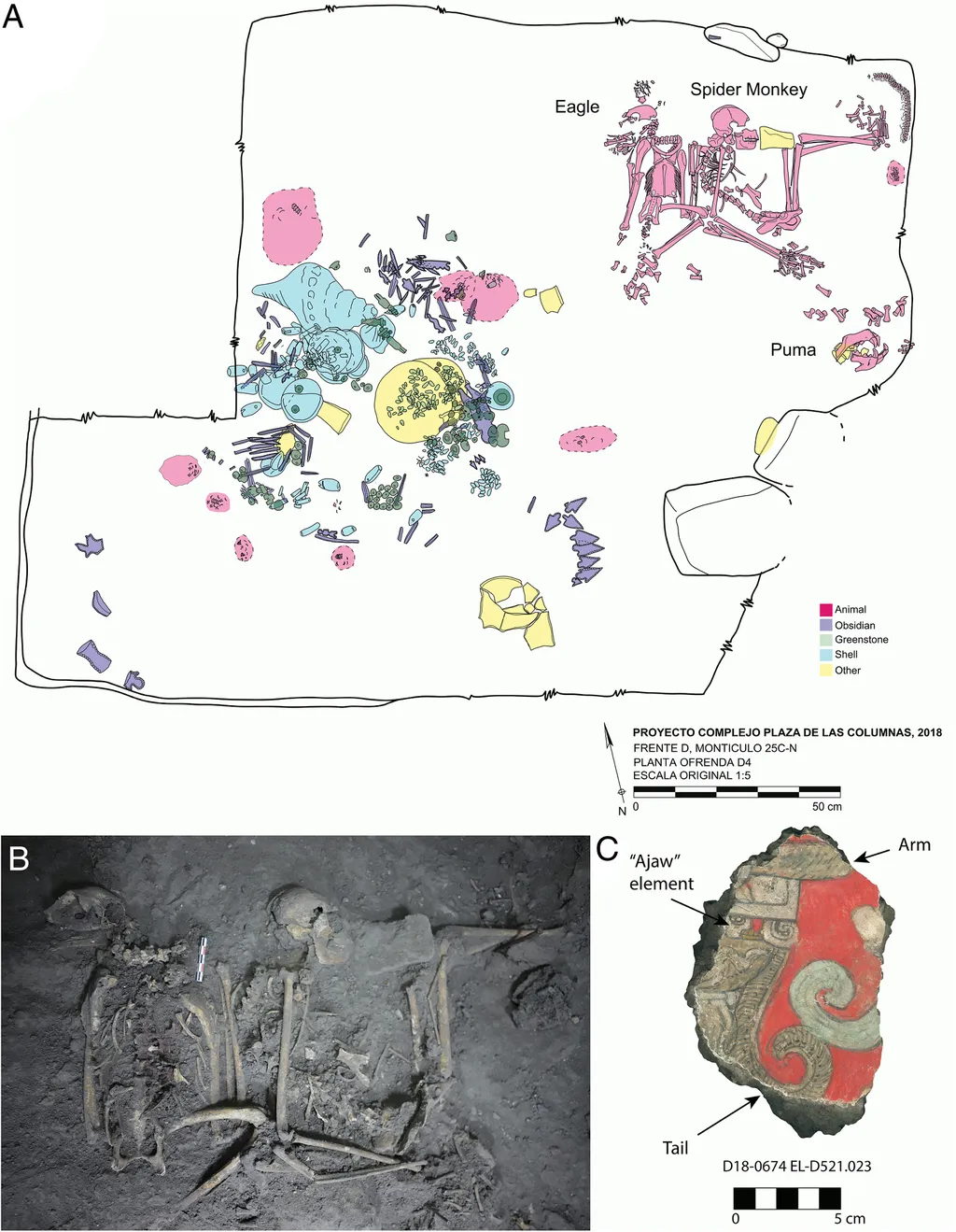 Restos do macaco-aranha e de outros animais encontrados em Teotihuacán (Imagem: Sugiyama et al./PNAS)