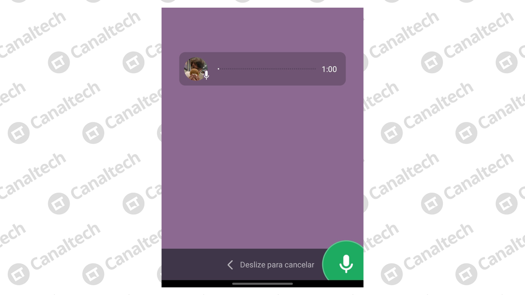 WhatsApp disponibiliza gravação de voz de um minuto no Status (Imagem: Captura de tela/Bruno De Blasi/Canaltech)