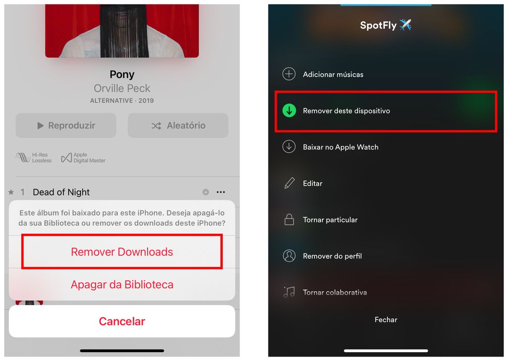 Apague playlists e álbuns baixados dos apps de música que você usa em seu iPhone (Captura de tela: Victor Carvalho)