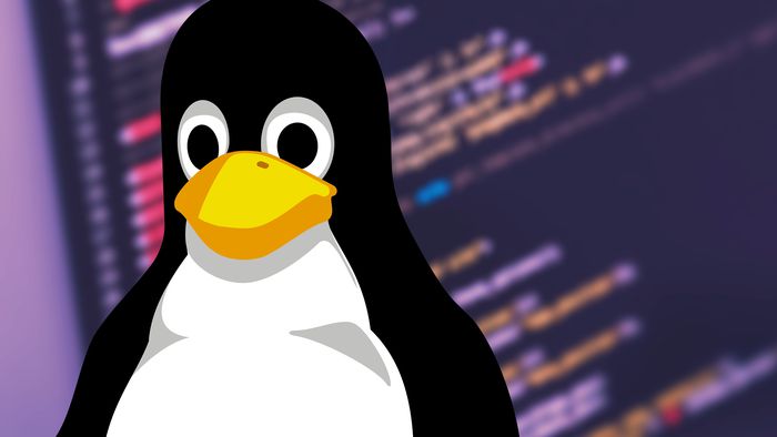 Hackers usam "avô do Discord" para criar exército zumbi em PCs Linux