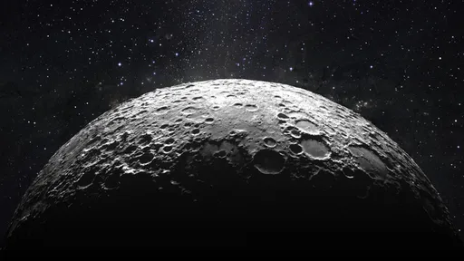 Baratas e peixes comeram poeira lunar em estranhos testes feitos pela NASA
