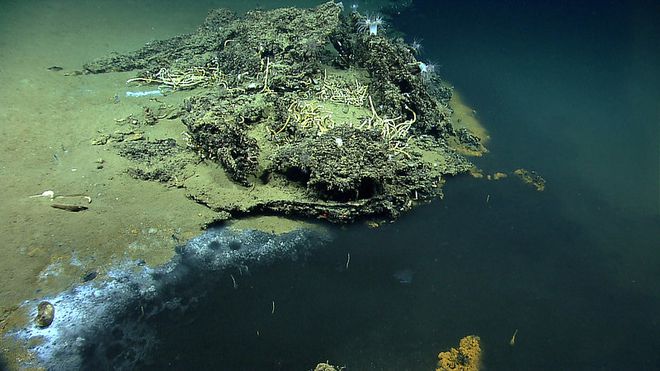 Qual a maior profundidade que o ser humano já chegou no fundo do mar? -  Geografia Geral