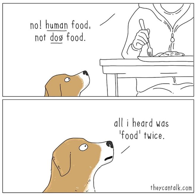 Quadro 1: Não! Comida humana, não comida de cachorro.