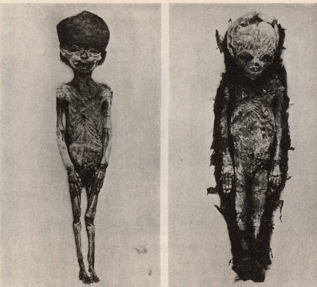 Múmias dos fetos das filhas de Tutancâmon (Imagem: 不明/Domínio Público)