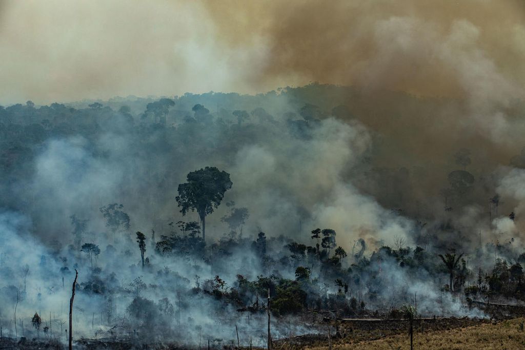 Queimadas na floresta amazônica (Foto: Greenpeace)