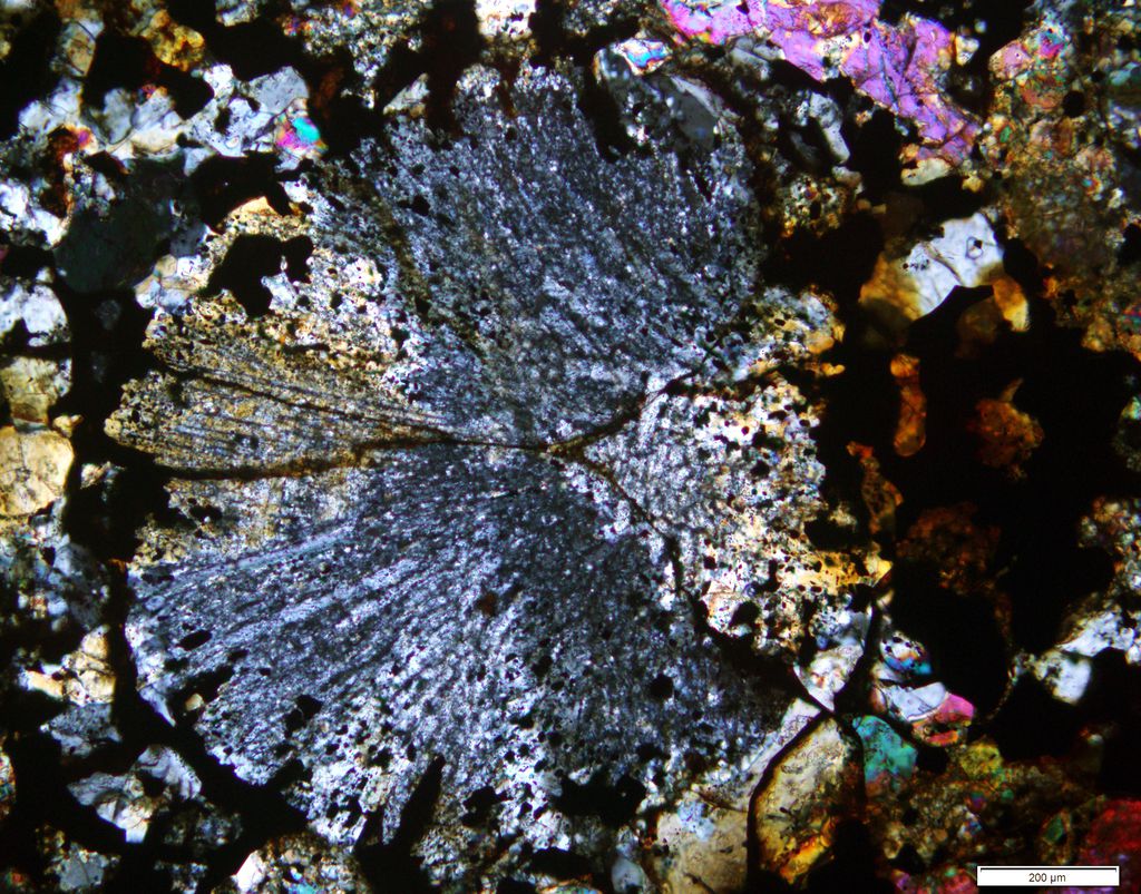 Côndrulo observado no interior do meteorito (Imagem: Reprodução/Museums Victoria)