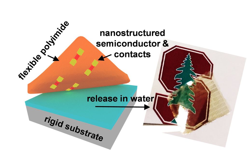 Esquema de transferência do semicondutor 2D para o substrato flexível (Imagem: Reprodução/Stanford University)