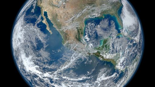Dia Mundial do Meio Ambiente promove a restauração dos ecossistemas em 2021