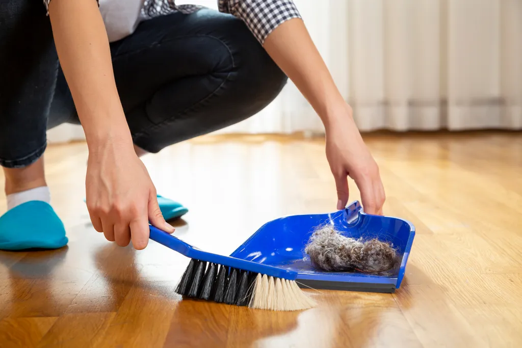 Limpar a casa é um tipo de atividade física, já que requer gasto calórico (Imagem: Vladans/Envato Elements)