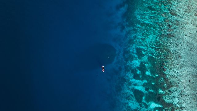 Steve Spence/National Geographic Pristine Seas