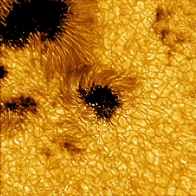 Imagem de manchas solares em alta resolução, capturada pelo Inouye Solar Telescope (Imagem: Reprodução/NSO/AURA/NSF)