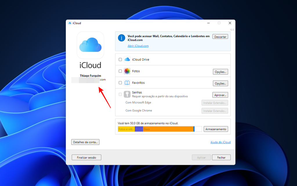 Abra o iCloud no PC para descobrir seu ID Apple (Captura de tela: Thiago Furquim)