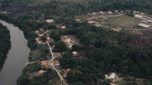 Google usa celulares antigos para monitorar desmatamento na Amazônia