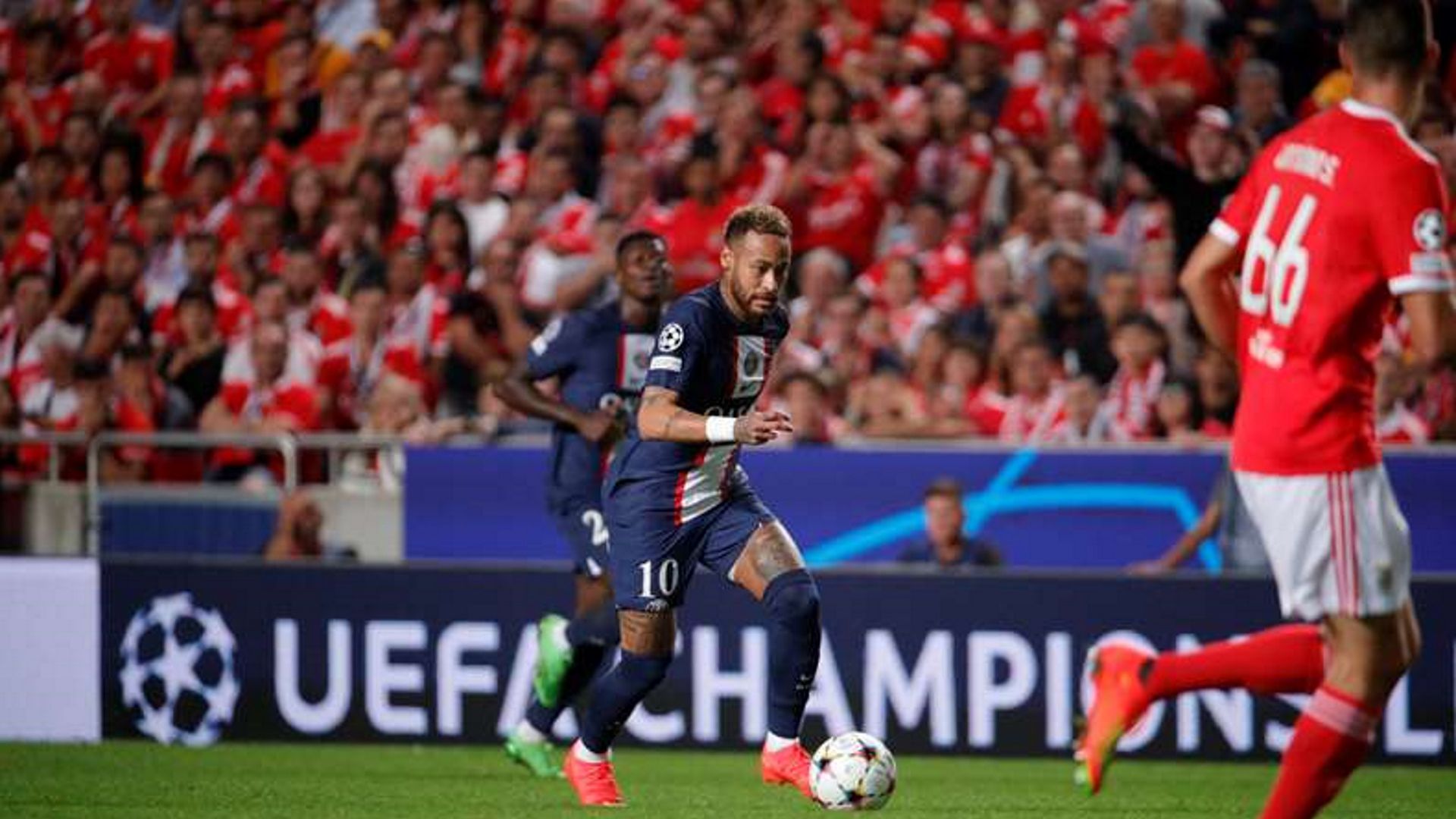 Assista ao vivo PSG x Benfica, jogo da Champions League desta terça-feira  11/10