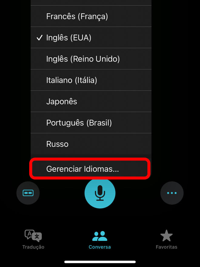 No app Traduzir, você pode baixar idiomas para usá-las offline - Captura de tela: Thiago Furquim (Canaltech)