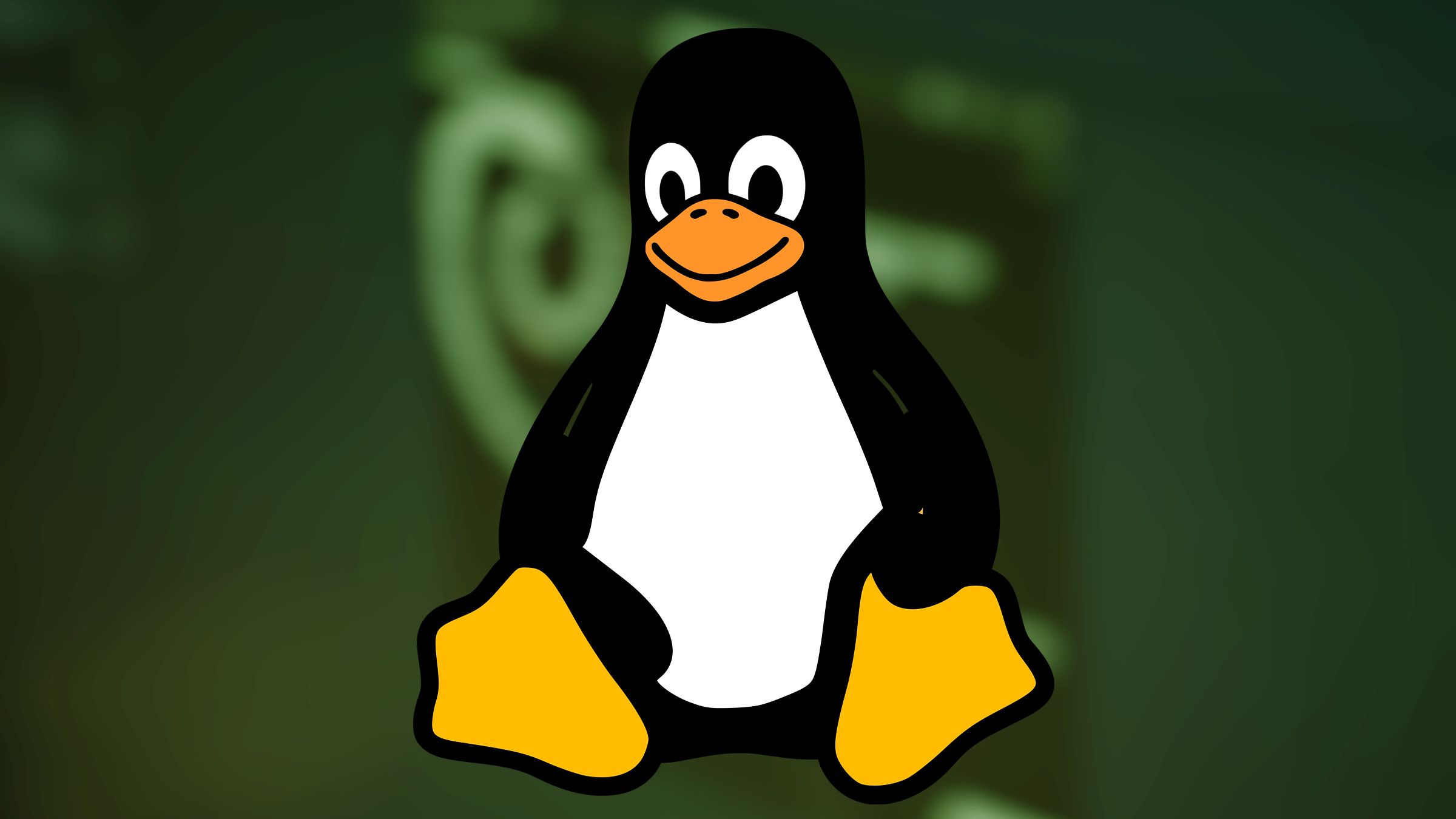 Conhe A Distribui Es Linux Leves Para Pcs E Notebooks Antigos Canaltech