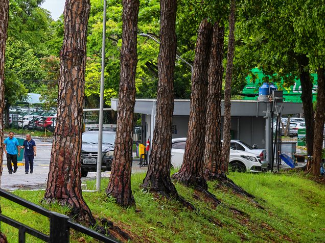 Honor Magic V5 - Teste de c&acirc;meras