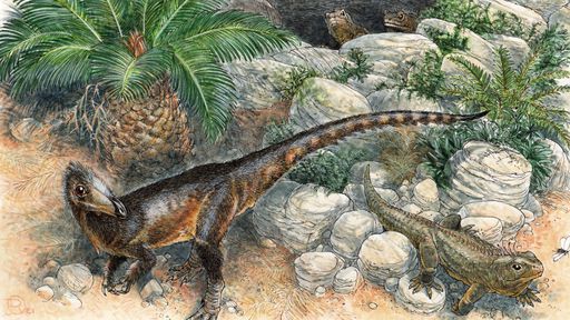 Dinossauro carnívoro mais antigo do Reino Unido é identificado por paleontólogos