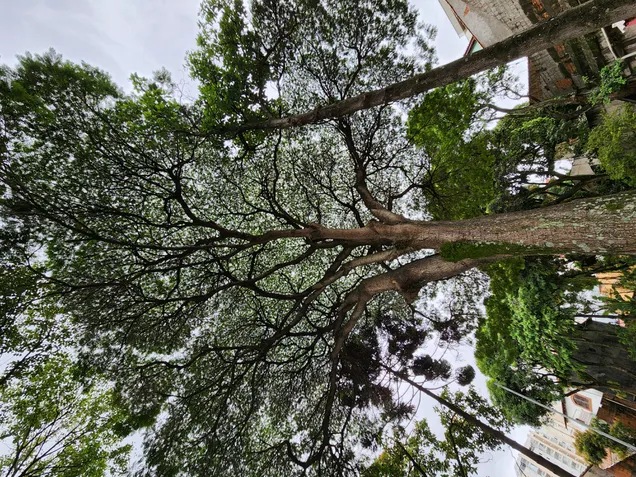 Foto da c&acirc;mera do Galaxy S22