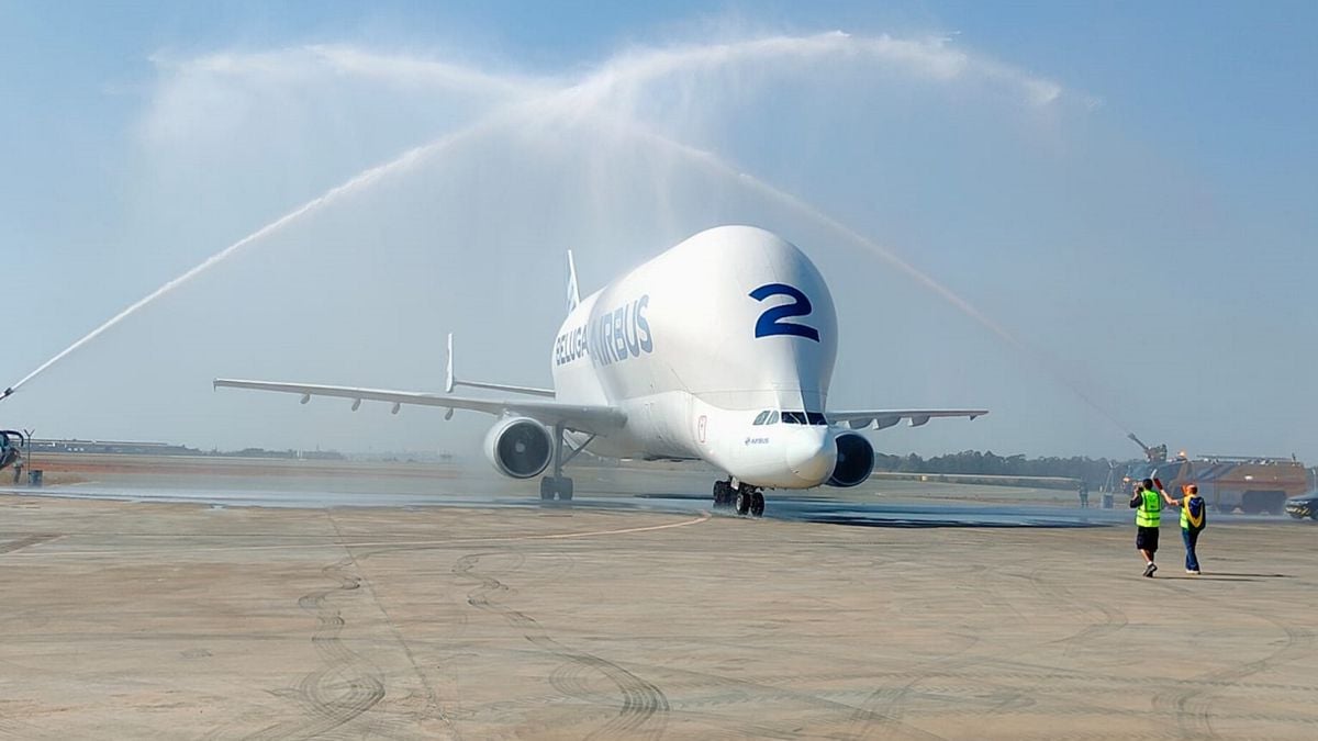 Airbus Beluga: 7 curiosidades sobre o gigantesco avião de cargas - Canaltech