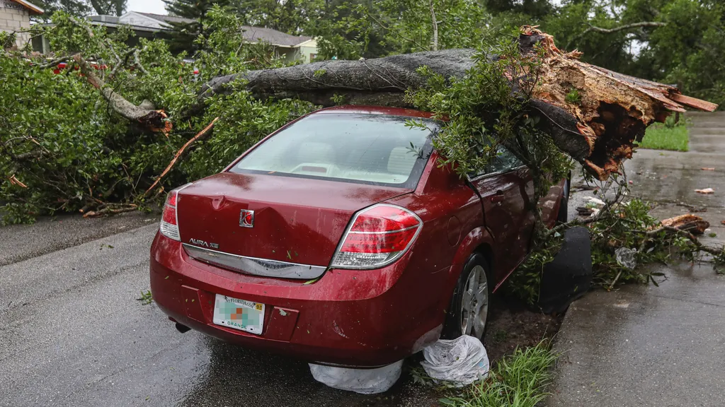 Queda de árvore é coberta pelo seguro, desde que acidental (Imagem: Mike Haupput/Unsplash/CC)