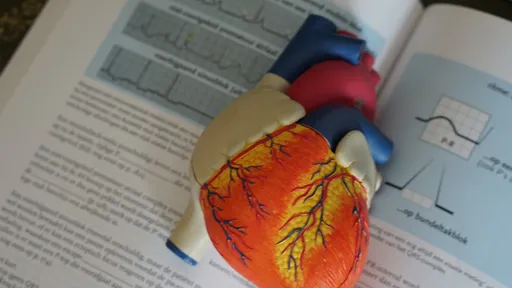Dos apps ao coração biônico: cardiologia é uma especialidade MUITO tech!