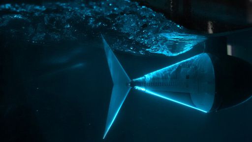 Atum inspira cientistas na criação na criação de drones submarinos mais ágeis