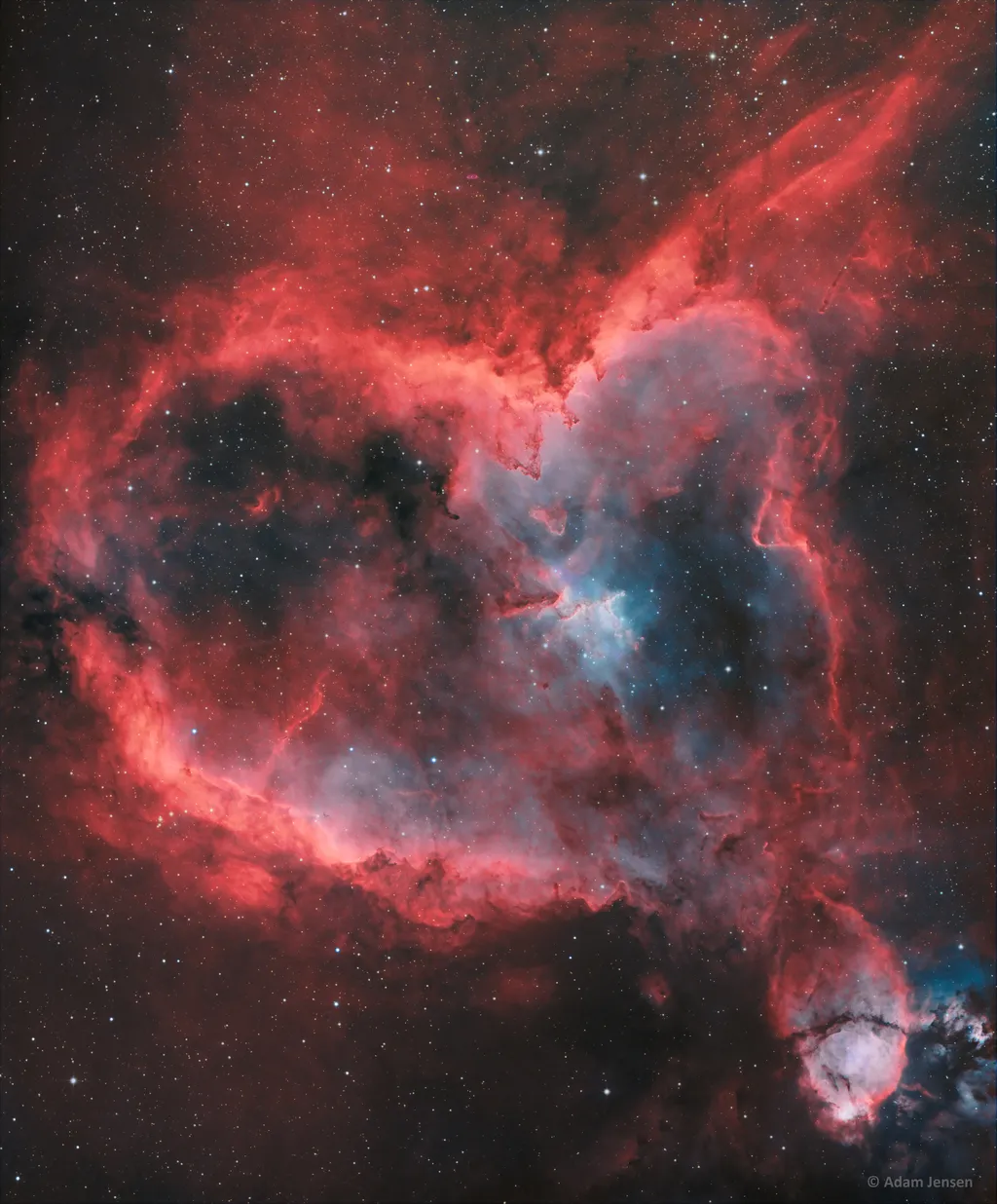 A nebulosa IC 1805 também é conhecida como "Nebulosa do Coração" (Imagem: Reprodução/Adam Jensen)