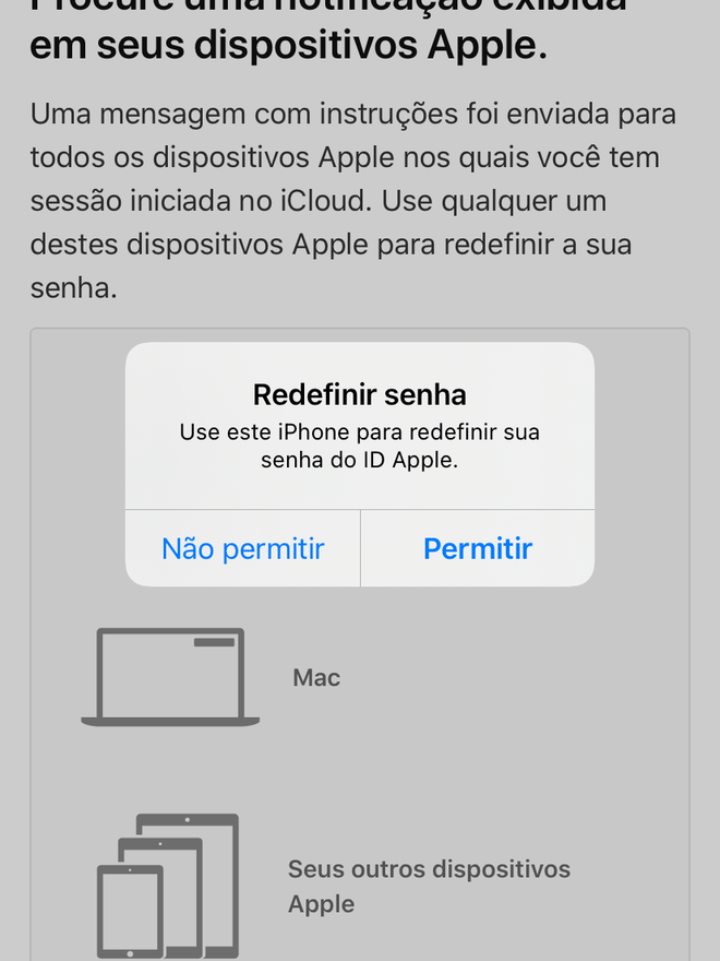Utilize seu dispositivo Apple para redefinir a senha - Captura de tela: Thiago Furquim (Canaltetch)