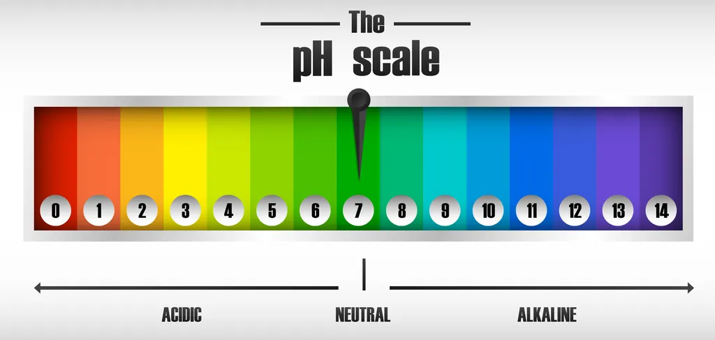 Na escala pH, números menores que 7 indicam soluções ácidas e os maiores que 7 apontam para as alcalinas (Imagem: Brgfx/Freepik)